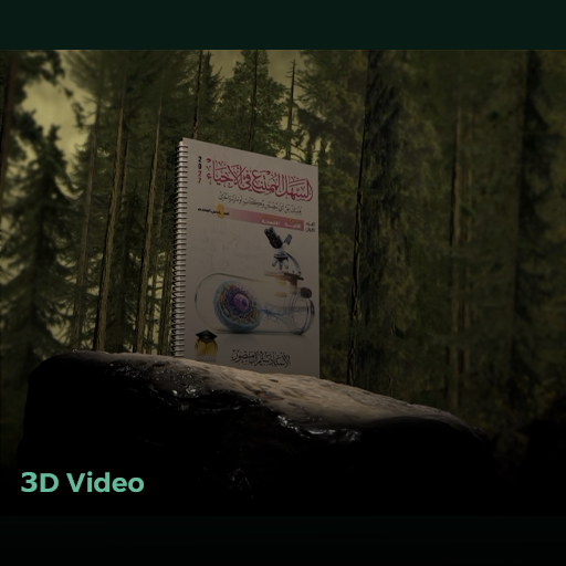 3D Work